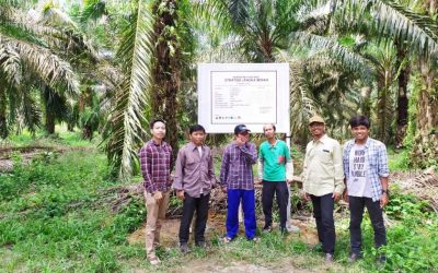 Tim SJB monitoring demplot di Desa Sungai Jernih, Kabupaten Tebo
