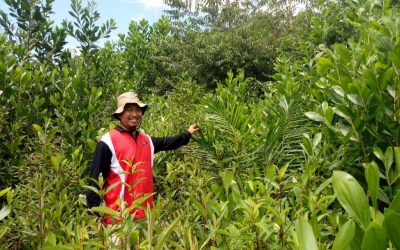 Tim SJB dengan KPHP Kotawaringin Barat melakukan survey calon lokasi demplot SJB di Desa Pangkut, Kotawaringin Barat