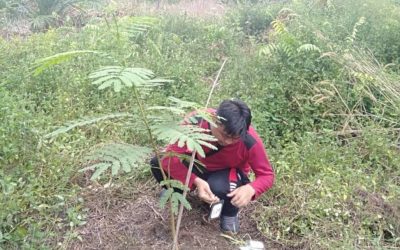 Monitoring Demplot SJB Tetap Berjalan Ditengah Pandemi COVID19
