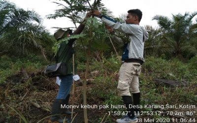 Monitoring Ke-2 Demplot SJB di Masa Pandemi Covid-19