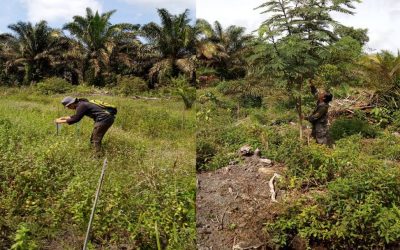 Monitoring dan Evaluasi Rutin Demplot SJB di Desa Karangsari, Kotawaringin Timur