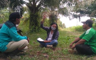 Survei Perluasan Demplot Strategi Jangka Benah (SJB) di Desa Sungai Jernih