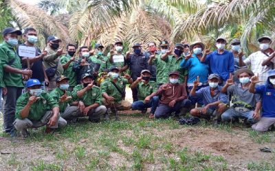 Penanaman Demplot SJB di Desa Sungai Jernih, Kab. Tebo Sebagai Implementasi Program SJB di Penghujung 2020
