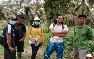 Monitoring Evaluasi Penyusunan Database Demplot Strategi Jangka Benah di Desa Sungai Jernih, Kabupaten Tebo