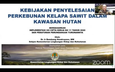 Menyelesaikan Sawit di Kawasan Hutan menjadi Topik Webinar ‘Mengelola Yang Tersisa Seri #22’ oleh Tropenbos Indonesia