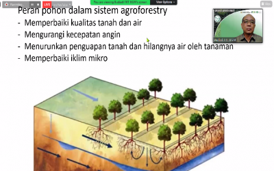 Sekolah Jangka Benah Online Seri#2  Mengangkat Topik “Agroforestry Sawit: Potensi, Keuntungan, dan Tantangan Implementasi”