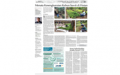 Menata Kesengkarutan Kebun Sawit di Hutan