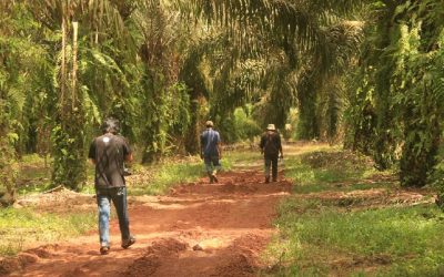 Penguatan  Kelembagaan dan Akselerasi Strategi Jangka Benah di Provinsi Kalimantan Tengah