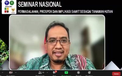 Perlukah Sawit Dimasukkan sebagai Tanaman Hutan Untuk Solusi Keterlanjuran Kebun Sawit di Dalam Kawasan Hutan?