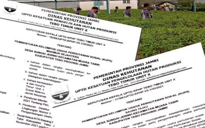 Pembentukan Kelompok Usaha Perhutanan Sosial Bagi KTH Binaan Strategi Jangka Benah